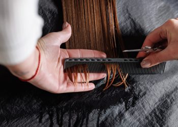 hairdresser makes a haircut to a woman in the salon. The hairdresser cuts wet hair, combing with a comb. client with short hair. back view hairdresser makes a haircut to a woman in the salon. The hairdresser cuts wet hair, combing with a comb. client with short hair. back view